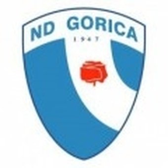 Gorica Academy