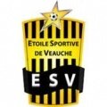 ES Veauche Academy