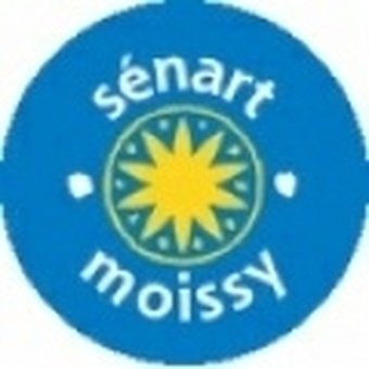 Sénart-Moissy Academy