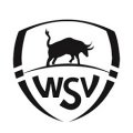 WSV Apeldoorn Academy