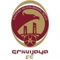 Sriwijaya Academy
