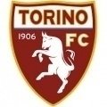 Torino Academy
