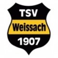 TSV Weissach Academy