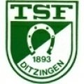 TSF Ditzingen Academy