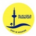 Blau-Gelb Frankfurt Academy