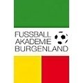 AKA Burgenland Academy