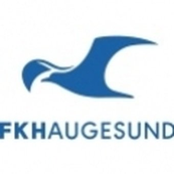 FK Haugesund Academy