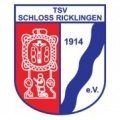 TSV Ricklingen Academy
