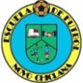Escudo del Novo Chiclana