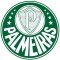 Palmeiras Academy