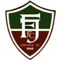 Fluminense SC Academy
