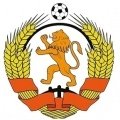VV Ewijk Academy