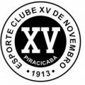 XV de Piracicaba Academy