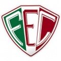 Escudo del Fluminense PI