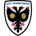 AFC Wimbledon Sub 21