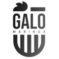 >Galo Maringá