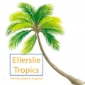 Ellerslie Tropics