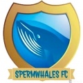 Sperm Whales