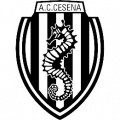 Cesena Academy