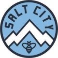Escudo del Salt City