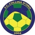 Club crest