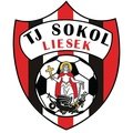 Sokol Liesek