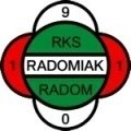 Radomiak Radom Academy