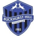 Escudo del Buckhurst Hill