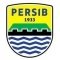 PERSIB Academy