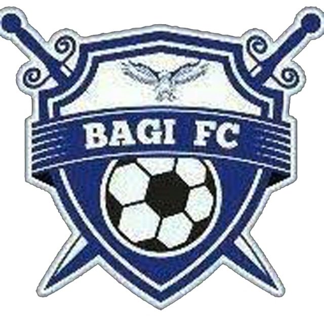 Escudo del Bagi