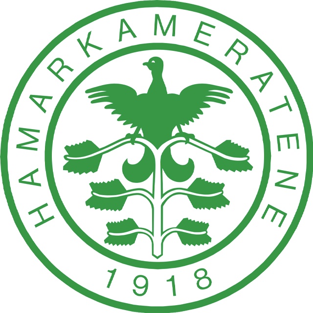 HamKam Sub 19