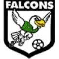 Escudo del Enfield City Falcons