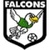 Escudo Enfield City Falcons