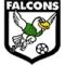 Enfield City Falcons