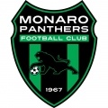 Monaro Panthers?size=60x&lossy=1