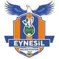 Escudo del Eynesil