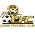 Cooma Tigers