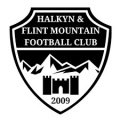 Escudo del Flint Mountain