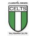 Escudo del Talysarn Celts