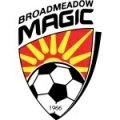 Escudo del Broadmeadow Magic