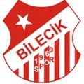 Escudo del Bilecik 1969 Spor