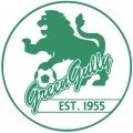 Escudo del Green Gully Cavaliers