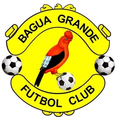 Bagua Grande
