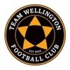 Team Wellington