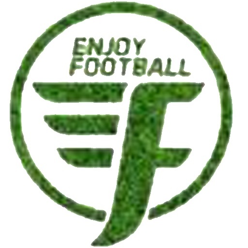 Enjoy Football-Cosmos