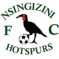 Escudo del Nsingizini Hotspurs