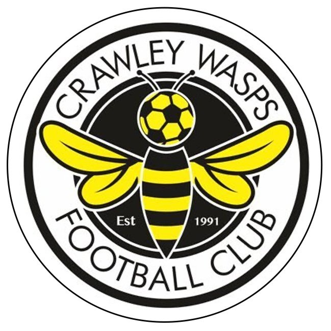 Crawley Wasps W