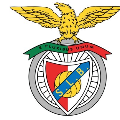 Escudo del Benfica Sub 15 B