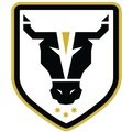 Escudo del Bulls Academy