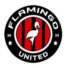 Flamingo United